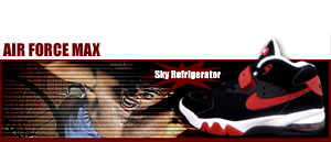 Air Force Max "Charles Barkley Signature" 061