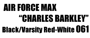 Air Force Max "Charles Barkley Signature" 061