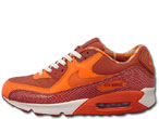 Air Max 90 QK Steve Nash 881