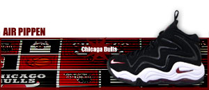 Nike Air Pippen "Scottie Pippen Signature" 061