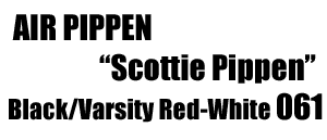 Nike Air Pippen "Scottie Pippen Signature" 061