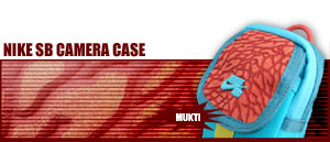 Dunk Sb Camera Case BA2315-349