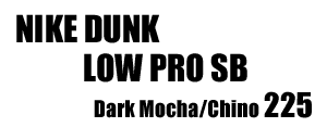 Nike Dunk Low Pro SB