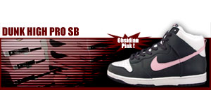 Dunk High Pro SB 461