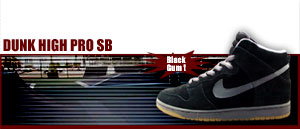 Dunk High Pro SB 002