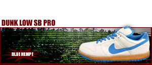 Dunk Low Pro SB Neptune 144