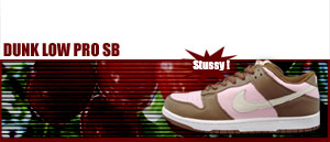 Dunk Low Pro SB Stussy