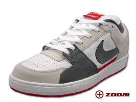 Zoom Team Editon Family 101