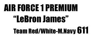 AF1 PREMIUM LeBron 611